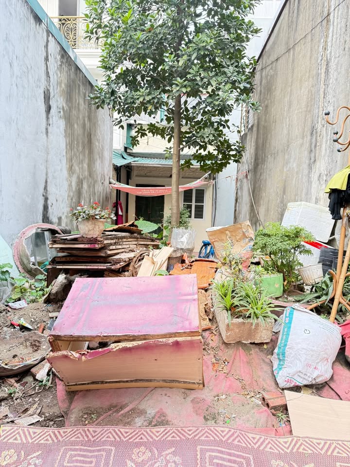 Đất nền 31m² tại Thúy Linh, Lĩnh Nam, Hoàng Mai - Sổ đỏ chính chủ, giá thỏa thuận!