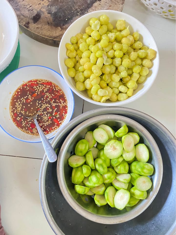 Đất nền Khu phố 3, Phường Tiến Thành, 120m² giá 500 triệu - Sổ hồng chính chủ