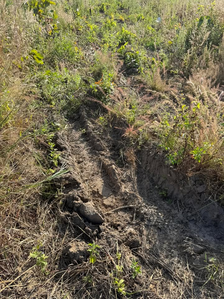 Đất nông nghiệp 3ha tại xã Ea Lê, huyện Ea Súp - Giá chỉ 2.25 tỷ!