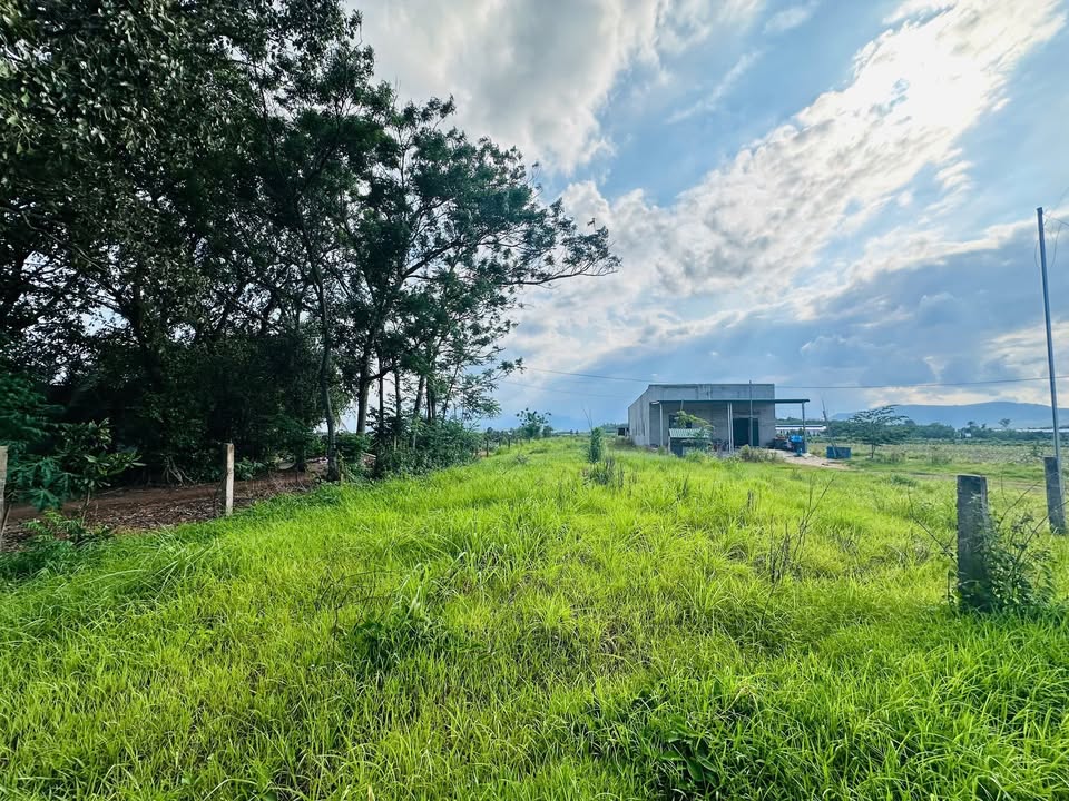 Đất nền Tân Nghĩa, Hàm Tân 1171m² chỉ 750 triệu - Đầu tư sinh lời ngay!