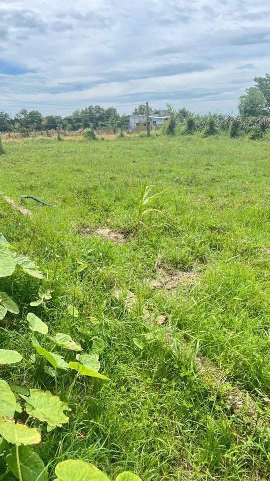 Đất nền Hàm Liêm 360m² giá 850 triệu - Cơ hội đầu tư tuyệt vời!