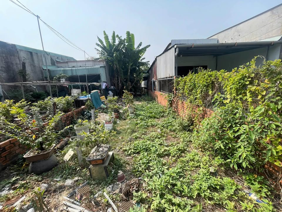 Đất nền Khu phố 1 Long Bình 150m² giá 1.5 tỷ - Sổ hồng riêng, thương lượng nhẹ!