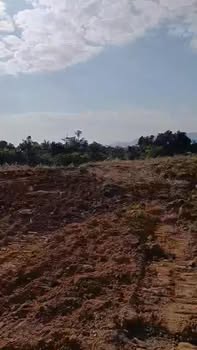 Đất nền 2.8ha tại Thị trấn Chư Prông - Giá 28 tỷ - Cơ hội đầu tư sinh lời!