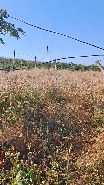 Đất nền xã Trang, Đăk Đoa 2160m² giá 960 triệu - Cơ hội đầu tư hấp dẫn!