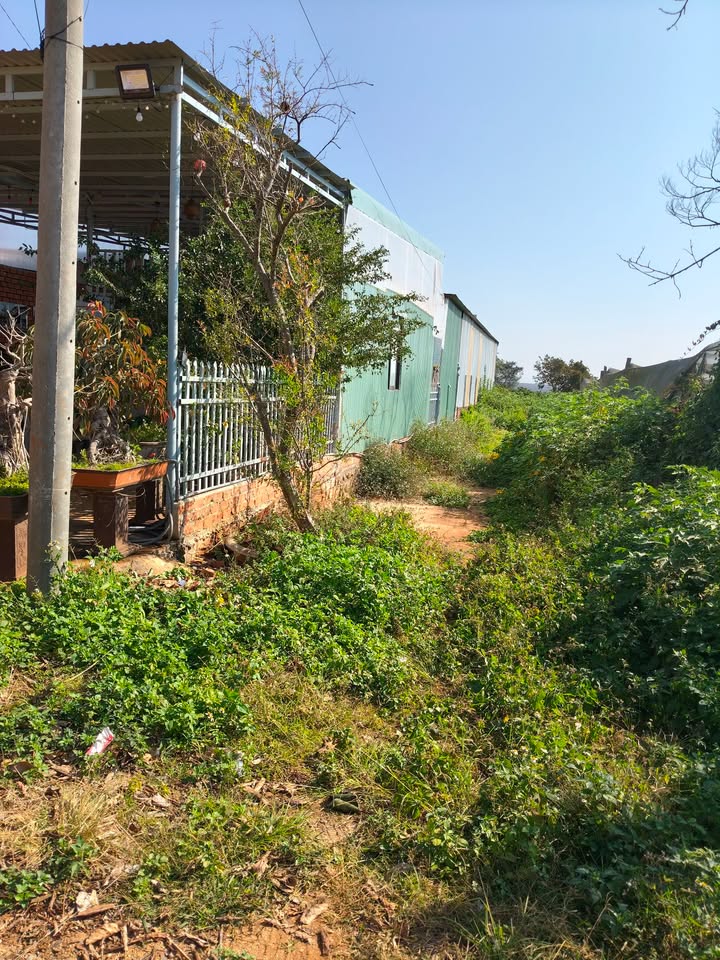 Đất nền mặt tiền QL14, Xã Ia Băng, Huyện Chư Prông, 216m² - Kinh doanh thuận lợi!