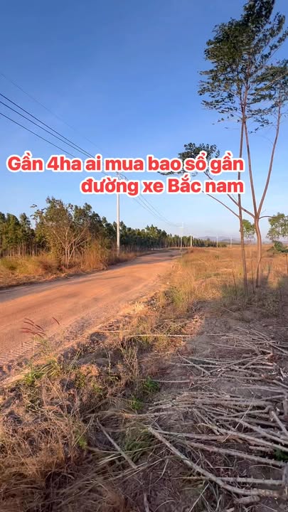 Farm 4ha mặt đường chính tại Quy Nhơn chỉ 1.2 tỷ - Đầu tư sinh lời!