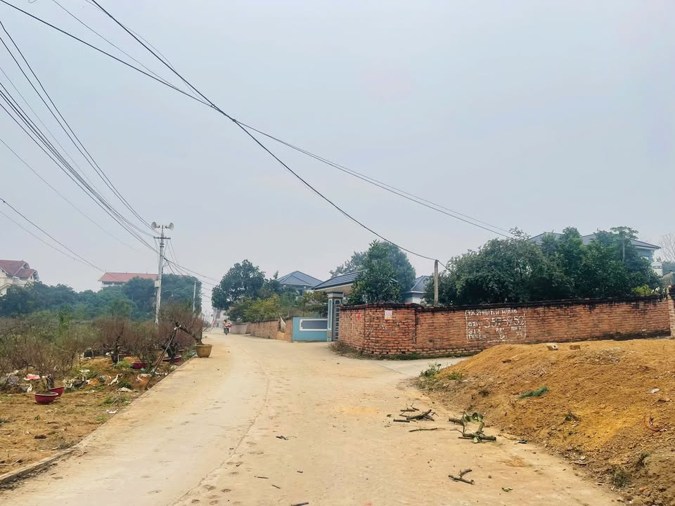 Đất nền khu đô thị Thanh Đình, Việt Trì 116m² - Đầu tư sinh lời ngay!