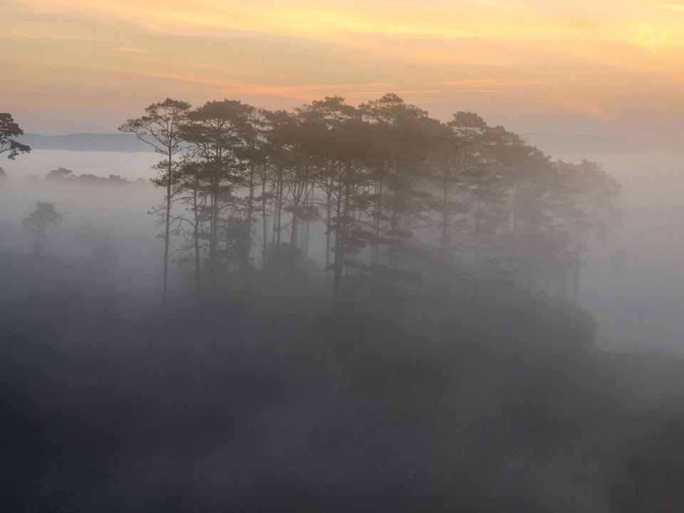 Đất nền Võ Thị Sáu, Huyện Kon Plông, 182m² giá 5 tỷ - Săn mây tuyệt đẹp!