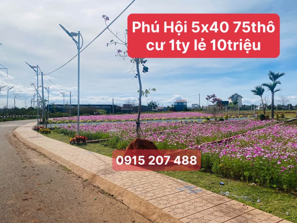 Đất Phú Hội, Đức Trọng 200m² giá 1.01 tỷ - Hạ tầng hoàn chỉnh, đầu tư sinh lời!