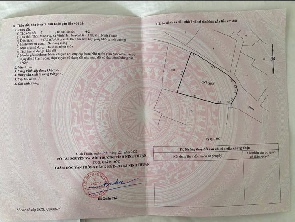 Đất nền thổ cư Vĩnh Hy 307m² giá 12.28 tỷ - Đầu tư sinh lời ngay!