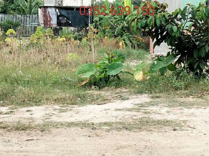 Đất thổ cư Phường Hắc Dịch 132m² giá 1.25 tỷ - Cơ hội đầu tư tuyệt vời!