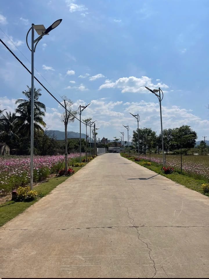 Đất nền Phú Hội 85m² giá 1.25 tỷ - Tiềm năng đầu tư sinh lời