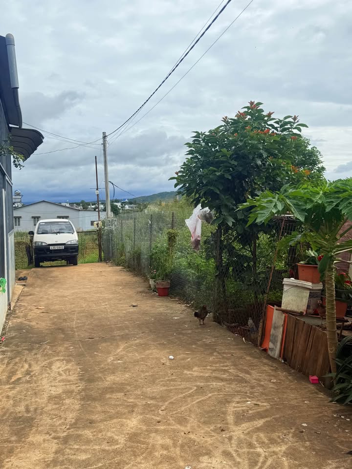 Đất nền Hẻm Bào Ngư, Đức Trọng 165m² giá 2 tỷ - Sẵn sàng xây dựng ngay!