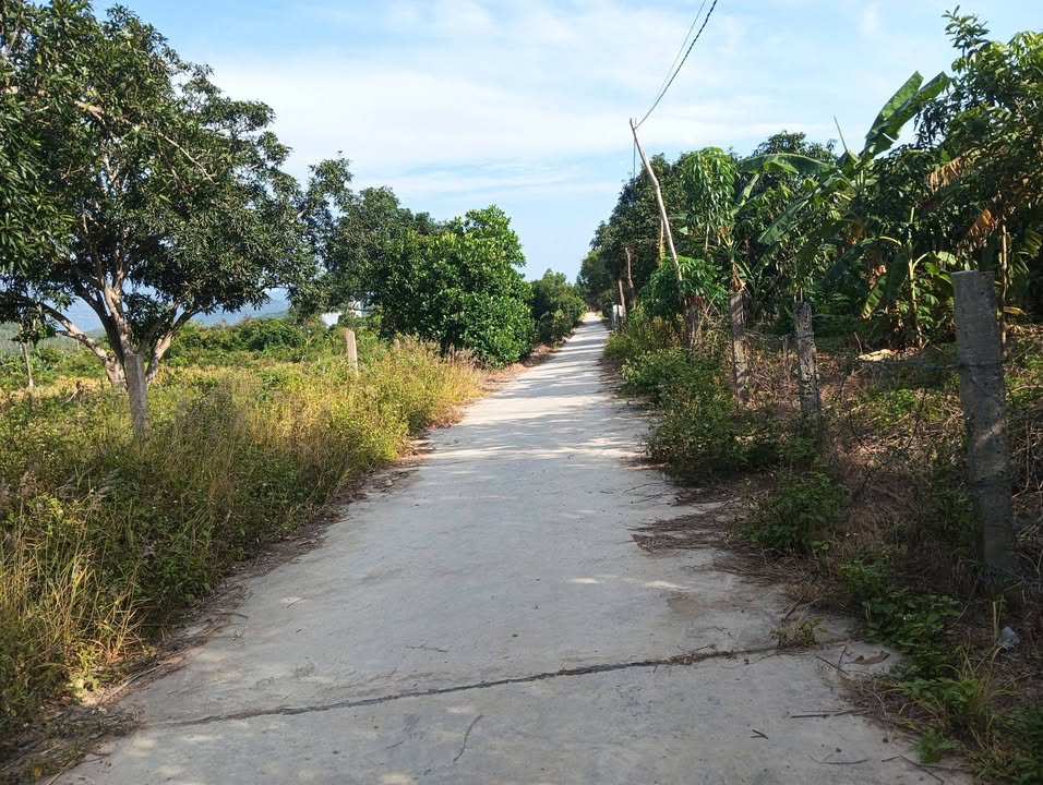 Đất nền Ninh Ích, Khánh Hòa 6000m² giá chỉ 9 tỷ - Phù hợp đầu tư sinh lời!