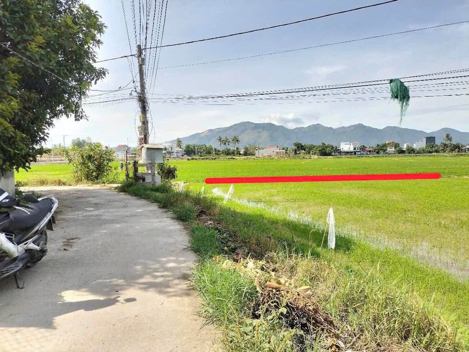 Đất thổ cư Diên Sơn 1200m² giá 600 triệu - Cơ hội đầu tư tuyệt vời!