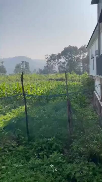 Đất nền Nghĩa Hội 175m² giá chỉ 300 triệu - Cơ hội đầu tư tuyệt vời!