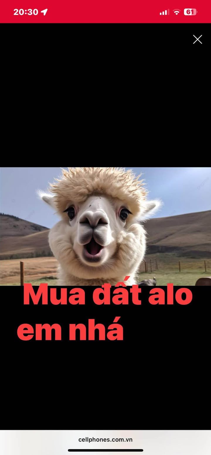 Đất nền Tân Trường, Cẩm Giàng 90m² giá 1.5 tỷ - Cơ hội đầu tư tuyệt vời!