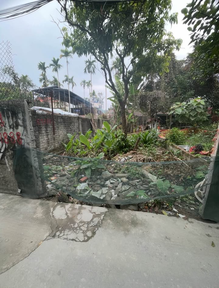 Đất Vân Tra, An Đồng, An Dương 90m² giá 2.9 tỷ - Cơ hội đầu tư tuyệt vời!