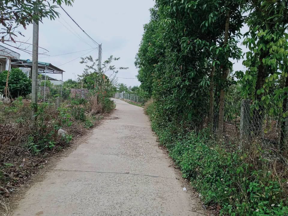 Đất nền xã Hòa Phú, Chư Păh 4000m² giá 116 tỷ - Cơ hội đầu tư tuyệt vời!