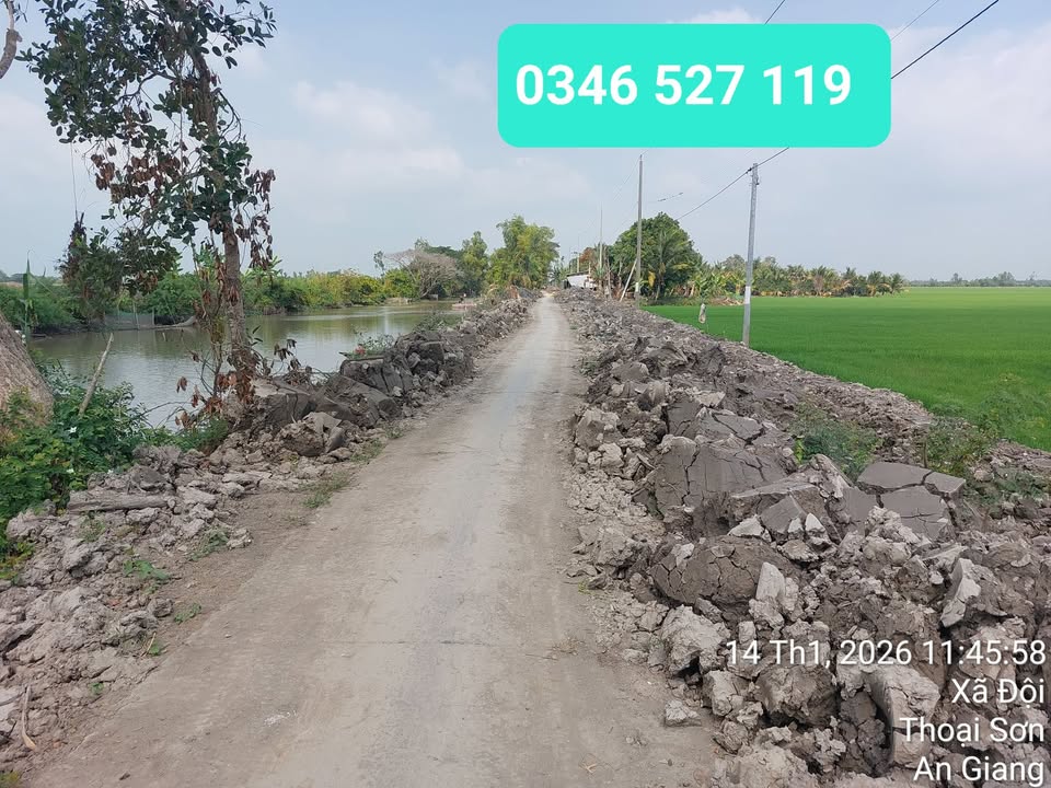 Đất nền thổ cư An Hòa 8000m² giá 300 triệu - Cơ hội đầu tư hấp dẫn!