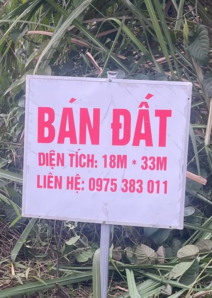 Đất nền chính chủ tại xã Yên Nguyên, huyện Chiêm Hóa, 594m² - Đầu tư sinh lời ngay!