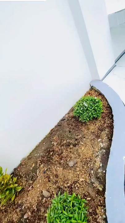 Nhà đẹp hẻm 40 Ngô Quyền, Tây Ninh 145m² giá 1.35 tỷ - Sẵn sàng vào ở!