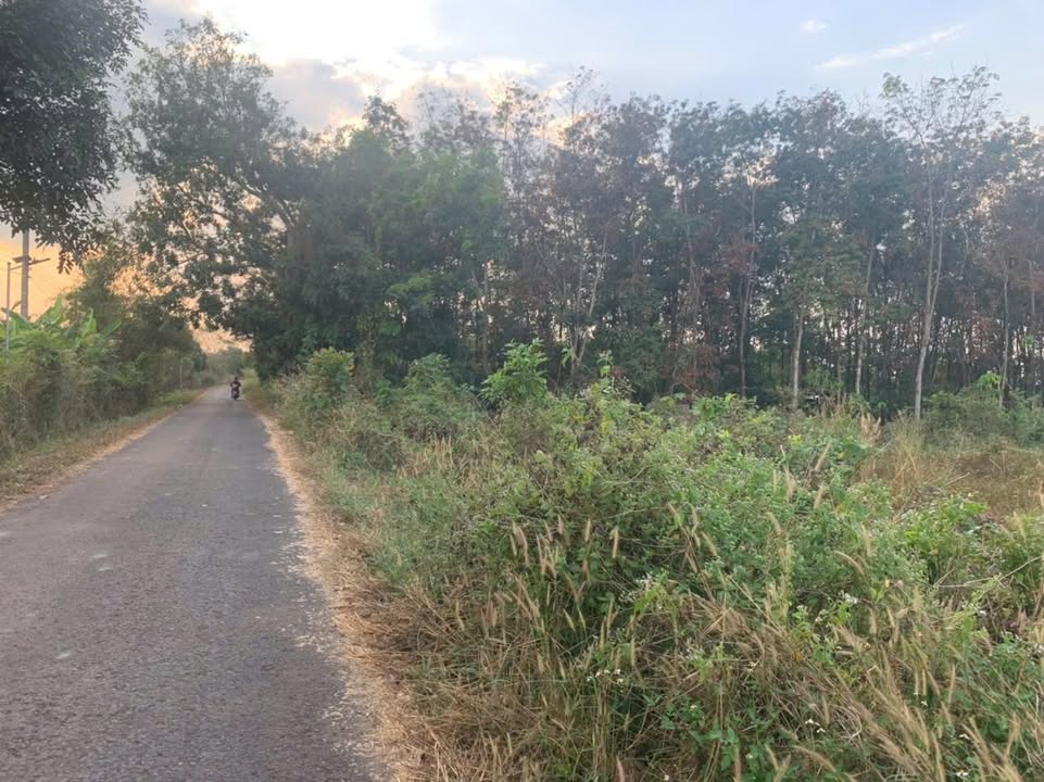 Đất nền Thôn 1, Xã Thiện Hưng, Huyện Bù Đốp 480m² giá 290 triệu - Đầu tư sinh lời ngay!