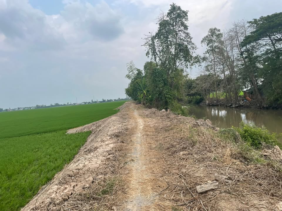 Đất nền 10 công mặt tiền kênh bờ Sửu, xã Bình Tấn, giá 1.6 tỷ - Cơ hội đầu tư tuyệt vời!