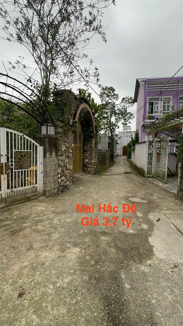 Đất xây dựng 64m² đường Mai Hắc Đế, Đà Lạt giá 3.7 tỷ - Đầu tư sinh lời ngay!