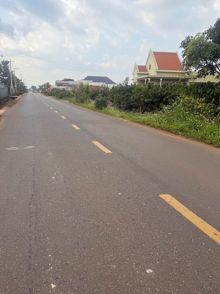 Đất thổ cư 360m² đường nhựa DH3 Tân Hội - Tiềm năng đầu tư lớn!