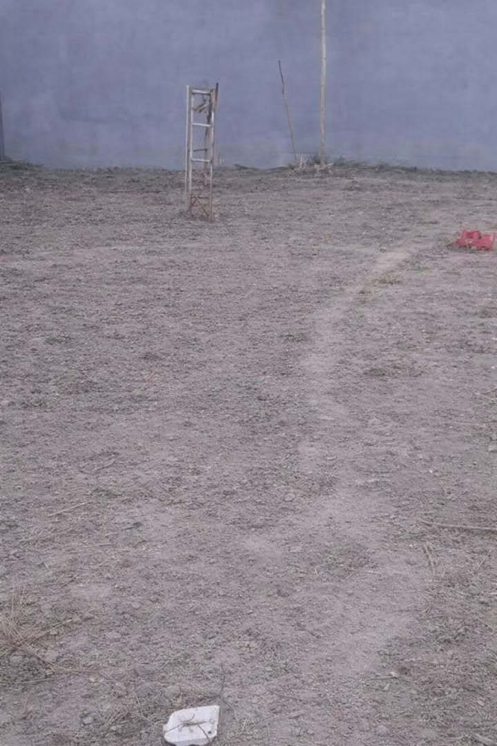 Đất nền phường Long Bình, Biên Hòa 90m² giá chỉ 950 triệu - Sổ hồng chính chủ