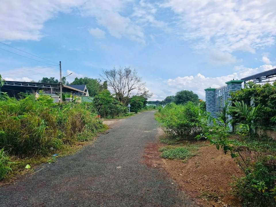 Đất nền Tiến Thành, Đồng Xoài 120m² giá chỉ 500 triệu - Cơ hội đầu tư tuyệt vời!