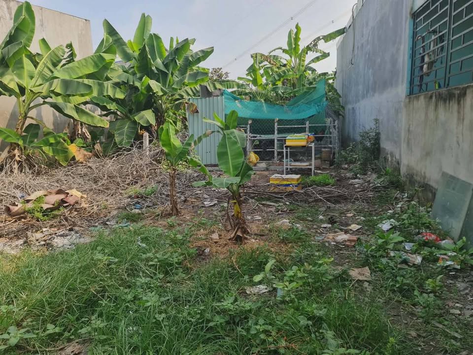 Đất nền Tân Định, Bến Cát 144m² giá 1.9 tỷ - Đầu tư sinh lời ngay!