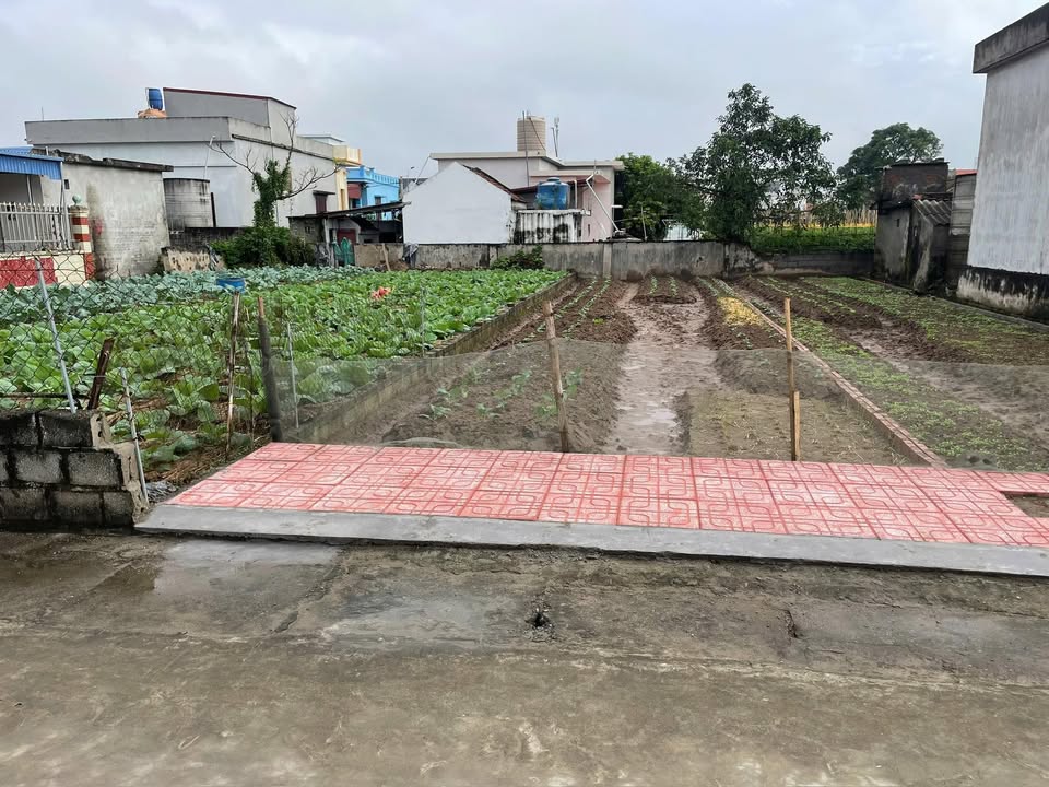 Đất nền Duy Tiên 90m² giá 1.2 tỷ - Pháp lý rõ ràng, đầu tư sinh lời!