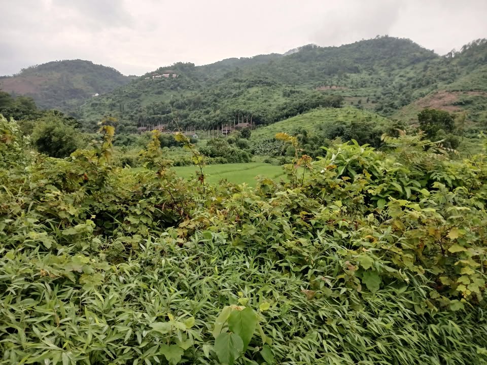 Đất thổ cư Xóm Cò Yên Bình Thạch Thất 400m² giá 5.2 tỷ - Chính chủ bán trực tiếp!