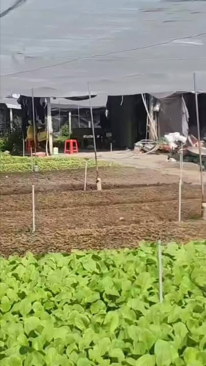 Đất nền Hóc Môn 1800m² giá 18 tỷ - Đường lớn đi vào thuận tiện!