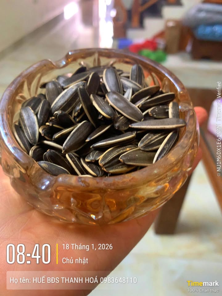 Đất nền Phường Quảng Thành 125m² giá 1 tỷ - Cơ hội đầu tư hiếm có!