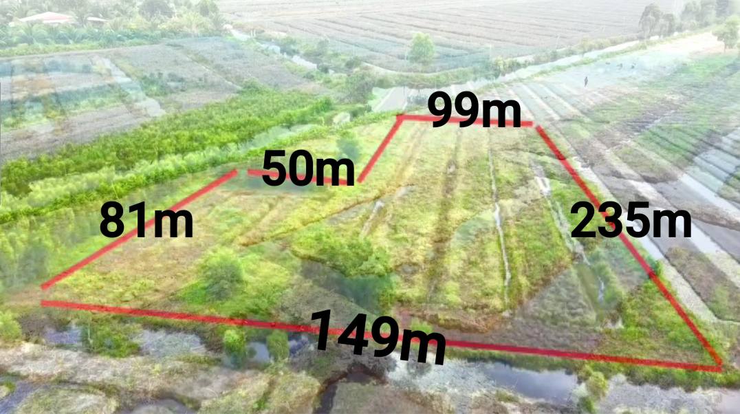 Đất nông nghiệp 2,8 hecta tại Tân Phước, Tiền Giang - Giá chỉ 5 tỷ!