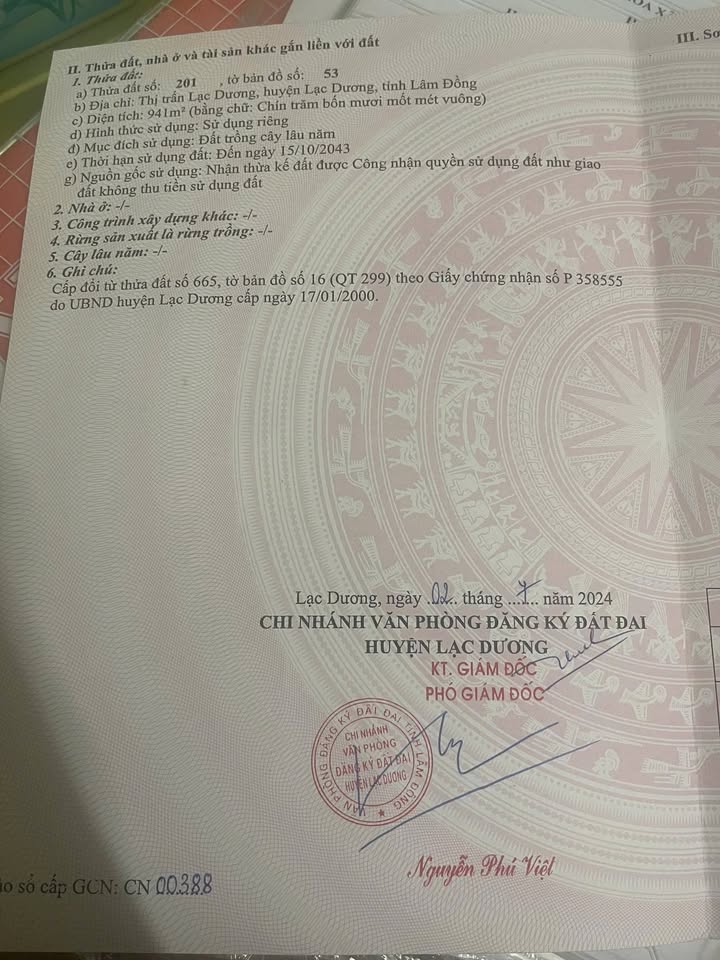 Đất nền Lạc Dương 950m² giá 7 tỷ - Cơ hội đầu tư tuyệt vời!