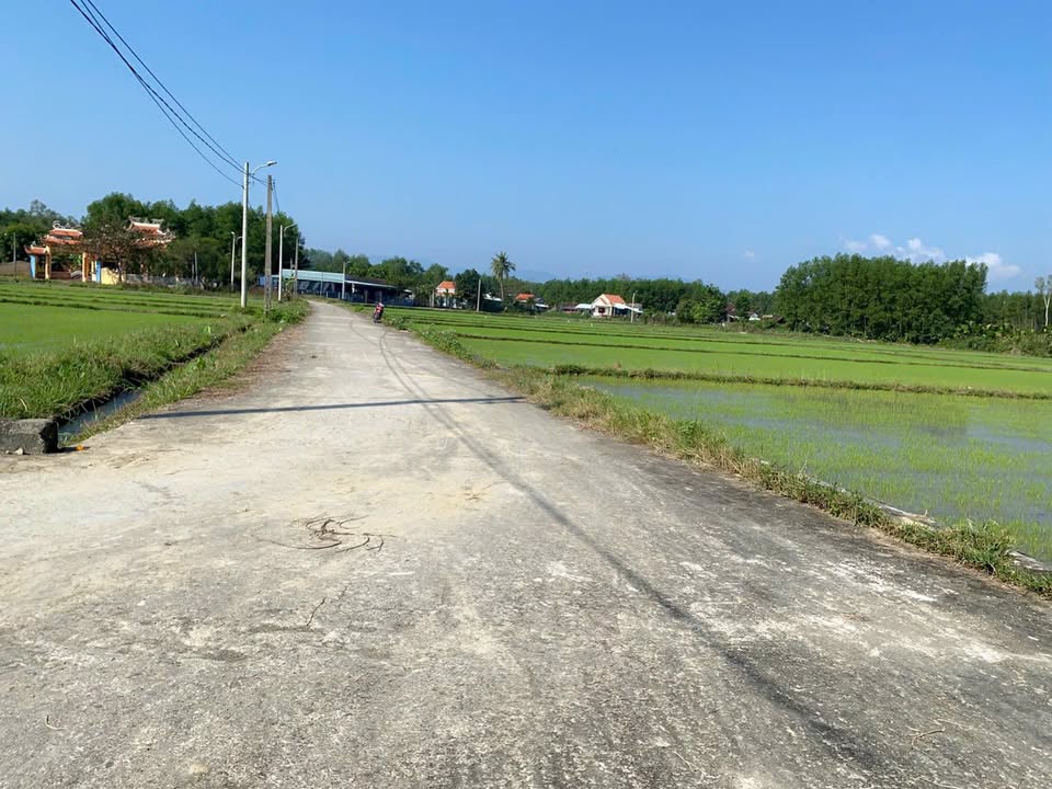 Đất nền xã Bình Nguyên - Huyện Thăng Bình 590m² giá 850 triệu - Sổ đỏ chính chủ