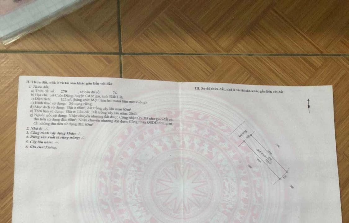 Đất nền chính chủ tại Cư M'gar, Đắk Lắk - Diện tích 125m², giá 470 triệu