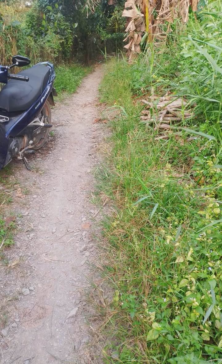 Đất vườn 5000m² tại xã Mỹ Hiệp, giá chỉ 1.65 tỷ - Đầu tư sinh lời ngay!