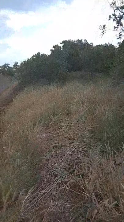 Đất nền 150m² tại xã Tân Thành, huyện Krông Nô - Giá chỉ 4.2 tỷ, đầu tư sinh lời ngay!