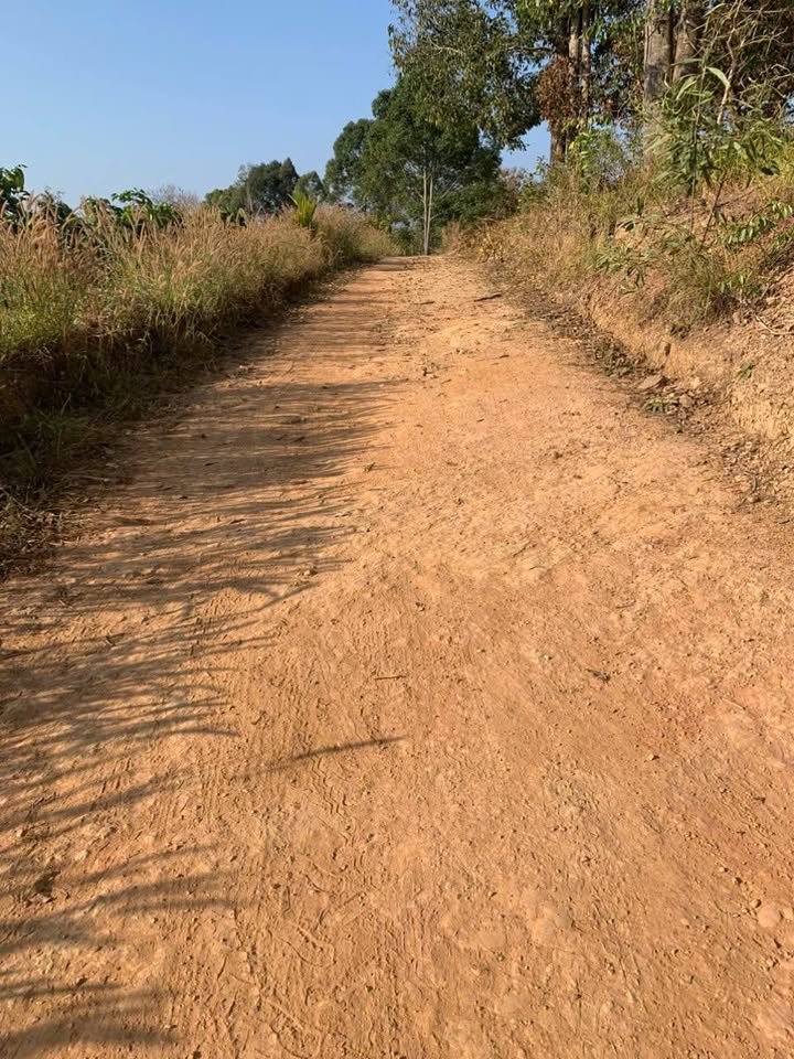 Đất trống 2ha tại Nam Đà, Lâm Đồng giá chỉ 1.1 tỷ - Pháp lý rõ ràng!