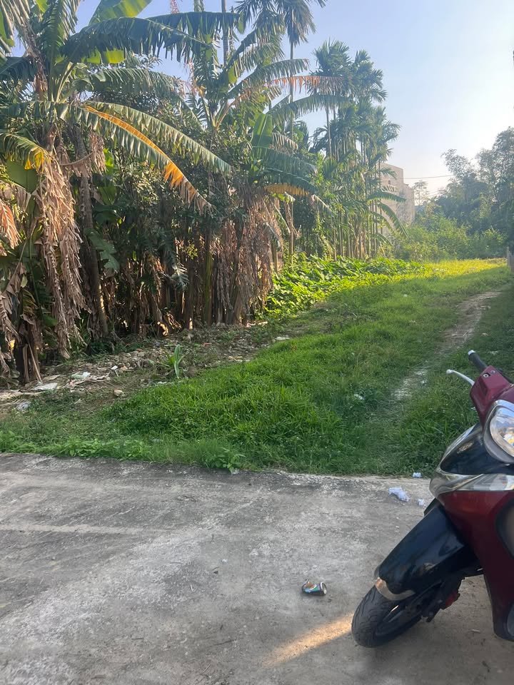 Đất thổ cư Triêm Đông 1, Điện Phương 85,7m² giá 630 triệu - Đầu tư lý tưởng!