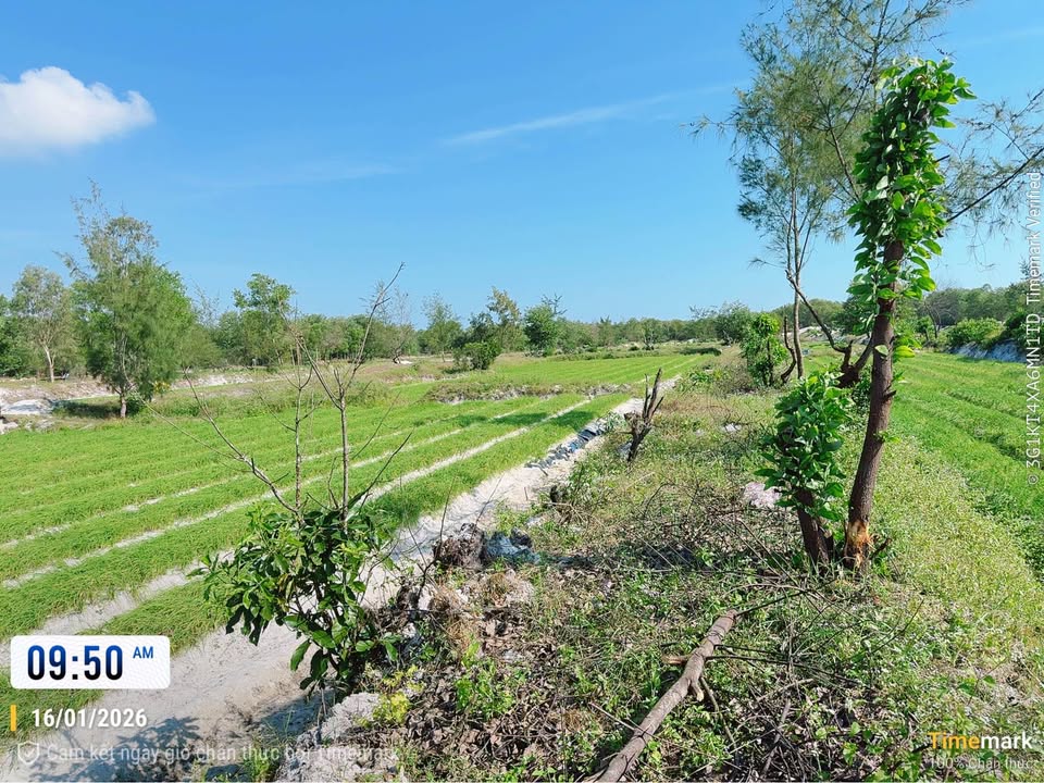 Đất nền biển Nam Hội An 260m² giá chỉ từ 200 triệu - Đầu tư sinh lời hấp dẫn!