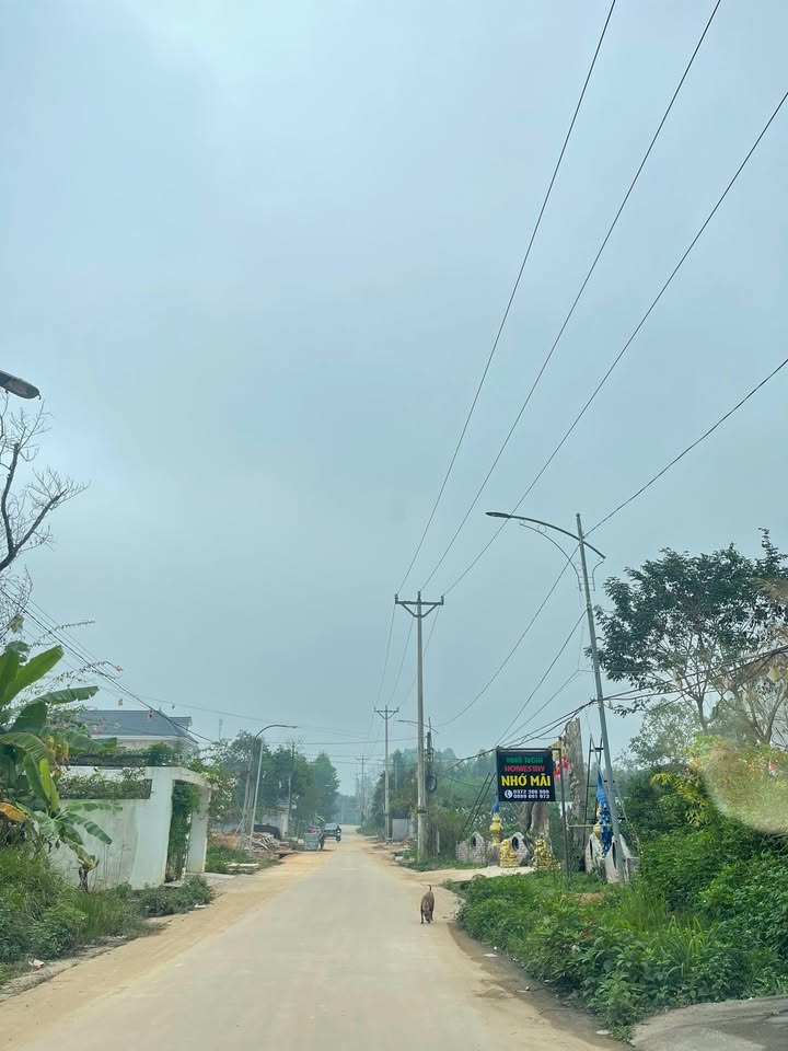 Đất nền Khu 10, Đồi Quăn, Phù Ninh 100m² giá 1.6 tỷ - Cơ hội đầu tư hấp dẫn!