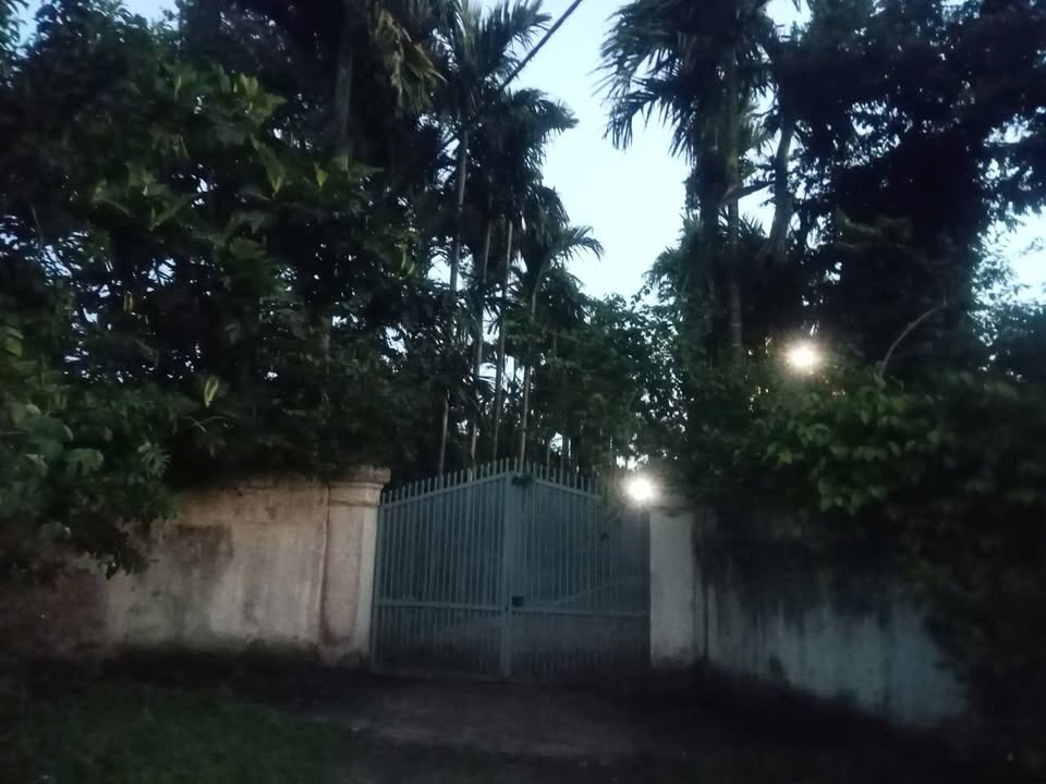 Đất nông nghiệp 1,5ha tại Krong Pak, Đắk Lắk - Tiềm năng sinh lời cao!