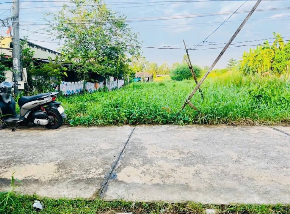 Đất nền 1080m² xã Đại Hòa Lộc, Bình Đại giá 800 triệu - Cơ hội đầu tư tuyệt vời!