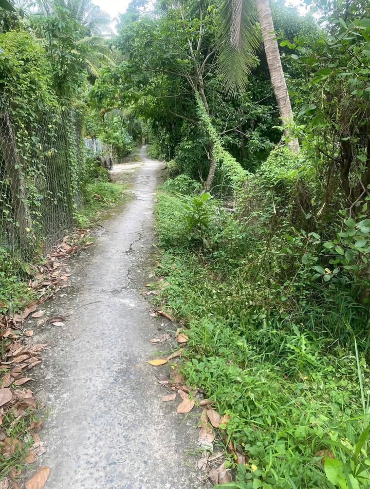 Đất vườn Tiên Thủy 20.000m² giá chỉ 1.3 tỷ - Sổ đỏ chính chủ!